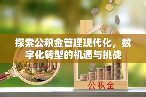 科尔沁探索公积金管理现代化，数字化转型的机遇与挑战