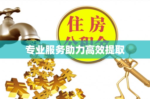 科尔沁专业服务助力高效提取